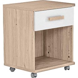Kontajner Na Kolieskach Cariba 4 Kolieska