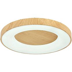 Led Stropné Svietidlo Luzia, Max. 42 Watt