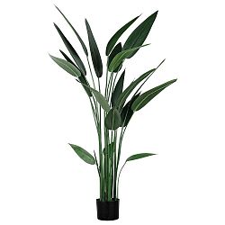 Umelá Rastlina Canna, V: 140 Cm