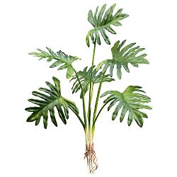 Umelá Rastlina Monstera