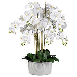 Umelá Rastlina Orchidea, V: 78cm