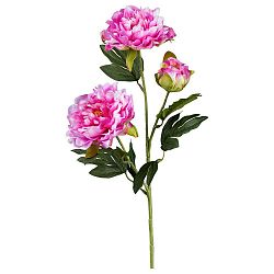 Umelá Rastlina Peonie, V: 63cm