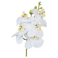 Umelá Rastlina Phalaenopsis, V:27cm,biela