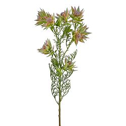Umelá Rastlina Proteazweig, V: 78cm