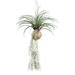 Umelá Rastlina Tilandsie, V: Ca. 72cm
