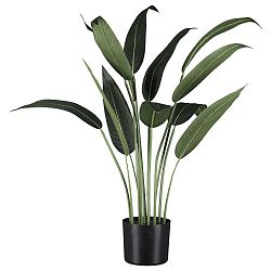 Umelá Rastlina Wassercanna I