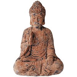 Budha Buddha