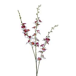 Orchidea 3018125mm-81