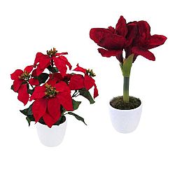 Umelá Rastlina 111004ce-00  Weihnachtstern