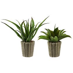 Umelá Rastlina Agave I