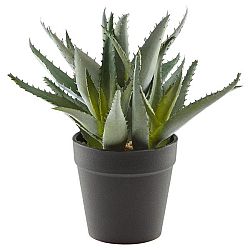 Umelá Rastlina Aloe