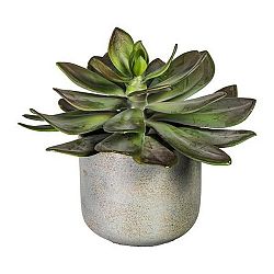 Umelá Rastlina Echeveria I