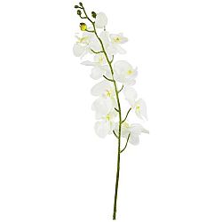 Umelá Rastlina Gundula