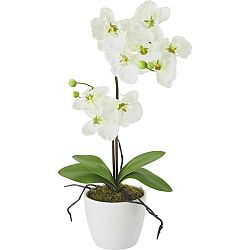 Umelá Rastlina Orchidee