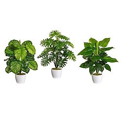 Umelá Rastlina Philodendron I