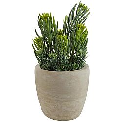 Umelá Rastlina Senecio I