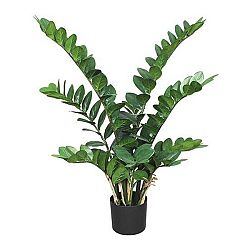 Umelá Rastlina Zamifolia I