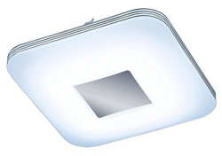 VENUS R62562506
