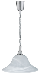 VIOLA 301700107