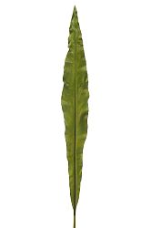 Kvetina List (135x0x0cm) (Zelená)