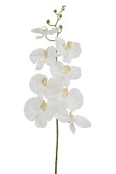 Kvetina Orchidea (84x0x0cm) (Biela)