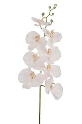 Kvetina Orchidea (84x0x0cm) (Fuchsia)