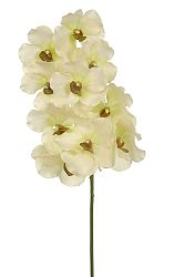 Kvetina Orchidea (Biela)