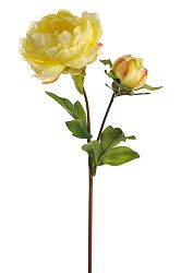 Kvetina Ruža (48x0x0cm) (Žltá)
