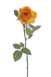 Kvetina Ruža (71x0x0cm) (Oranžová)