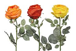 Kvetina Ruža (74x0x0cm) (Žltá + Oranžová) (3ks)