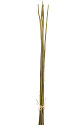 Kvetina Vetvička (110x0x0cm) (Zelená)