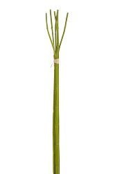 Kvetina Vetvička (110x10x5cm) (Zelená)