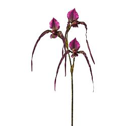 Orchidea 3019255mm-00