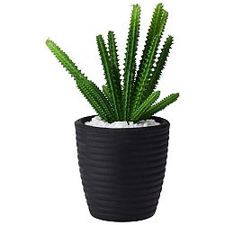 Umelá Rastlina Kaktus